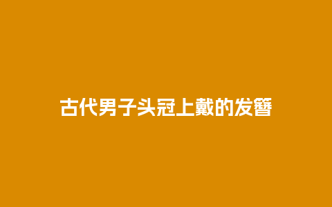 古代男子头冠上戴的发簪