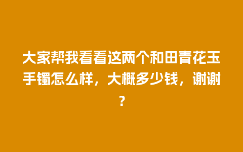 大家帮我看看这两个和田青花玉手镯怎么样，大概多少钱，谢谢？