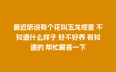 最近听说有个花叫玉龙观音 不知道什么样子 好不好养 有知道的 帮忙解答一下