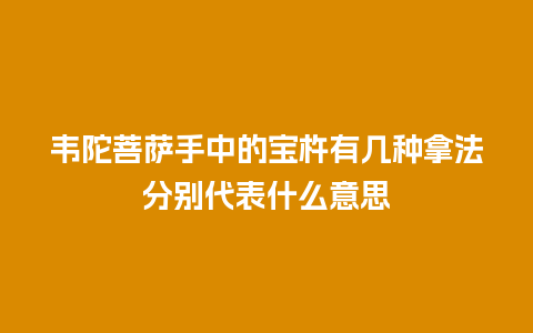 韦陀菩萨手中的宝杵有几种拿法分别代表什么意思