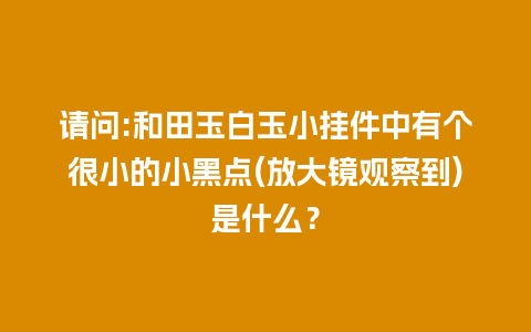 请问:和田玉白玉小挂件中有个很小的小黑点(放大镜观察到)是什么？