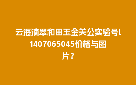 云海滴翠和田玉金关公实验号l1407065045价格与图片？