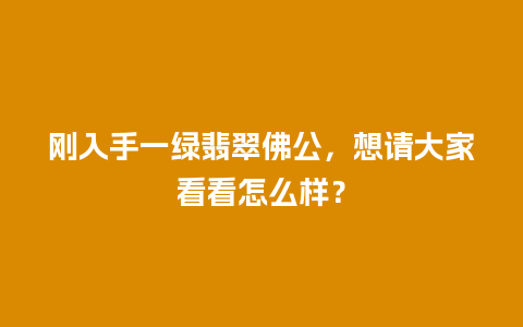 刚入手一绿翡翠佛公，想请大家看看怎么样？