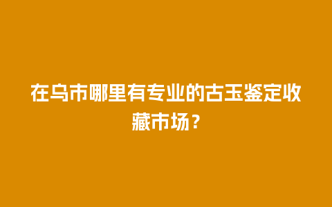 在乌市哪里有专业的古玉鉴定收藏市场？