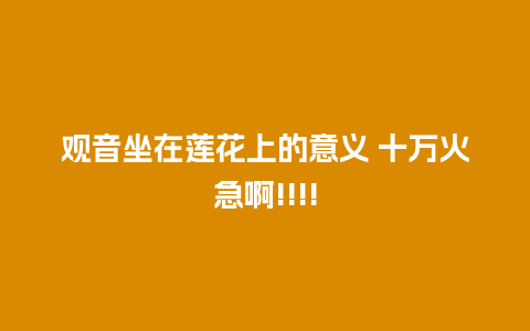 观音坐在莲花上的意义 十万火急啊!!!!