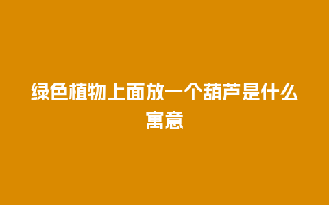 绿色植物上面放一个葫芦是什么寓意