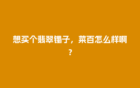 想买个翡翠镯子，菜百怎么样啊？