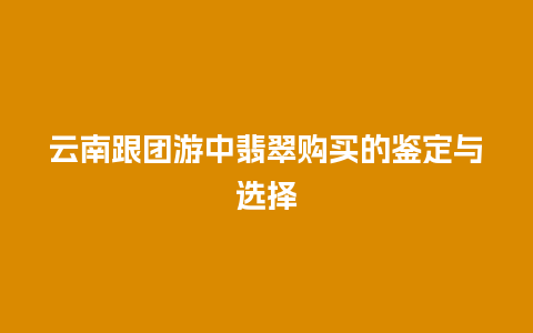 云南跟团游中翡翠购买的鉴定与选择