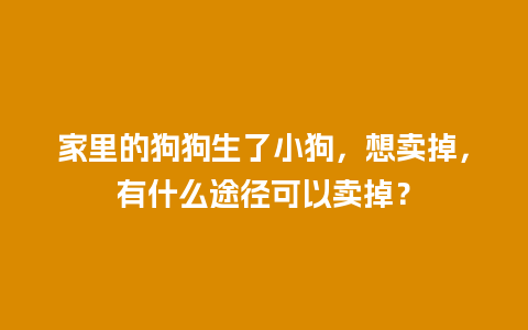 家里的狗狗生了小狗，想卖掉，有什么途径可以卖掉？