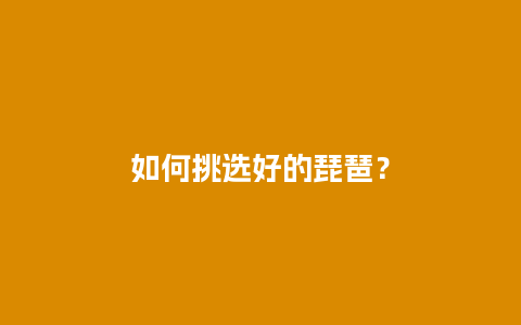 如何挑选好的琵琶？