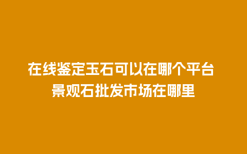 在线鉴定玉石可以在哪个平台 景观石批发市场在哪里