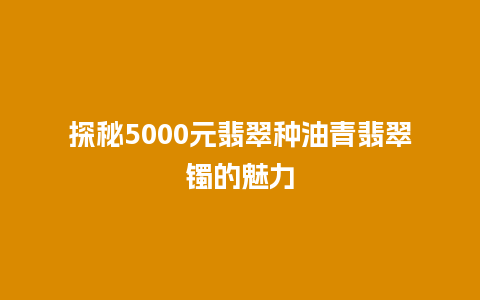 探秘5000元翡翠种油青翡翠镯的魅力