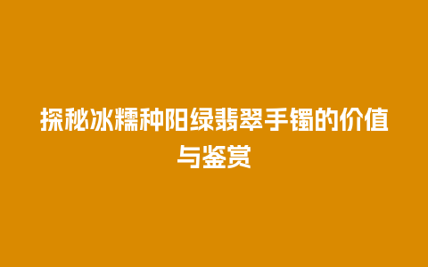 探秘冰糯种阳绿翡翠手镯的价值与鉴赏