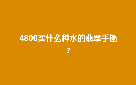 4800买什么种水的翡翠手镯？