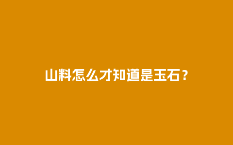 山料怎么才知道是玉石？