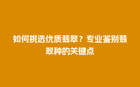 如何挑选优质翡翠？专业鉴别翡翠种的关键点