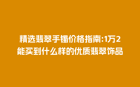 精选翡翠手镯价格指南:1万2能买到什么样的优质翡翠饰品