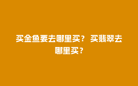 买金鱼要去哪里买？ 买翡翠去哪里买？