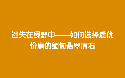 迷失在绿野中——如何选择质优价廉的缅甸翡翠原石