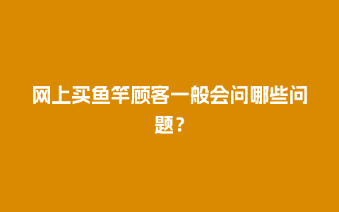 网上买鱼竿顾客一般会问哪些问题？