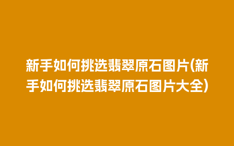 新手如何挑选翡翠原石图片(新手如何挑选翡翠原石图片大全)