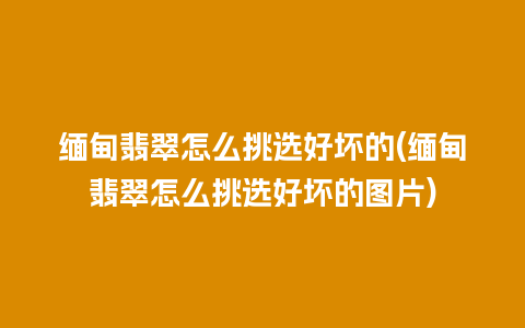 缅甸翡翠怎么挑选好坏的(缅甸翡翠怎么挑选好坏的图片)