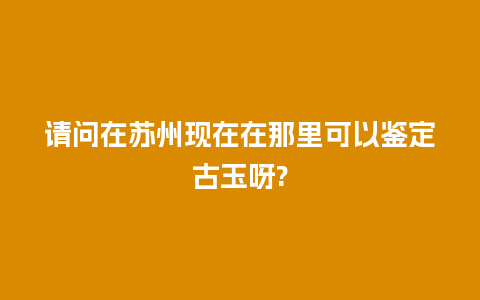 请问在苏州现在在那里可以鉴定古玉呀?