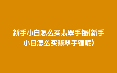 新手小白怎么买翡翠手镯(新手小白怎么买翡翠手镯呢)