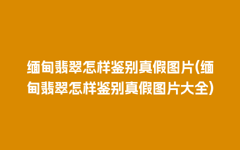 缅甸翡翠怎样鉴别真假图片(缅甸翡翠怎样鉴别真假图片大全)