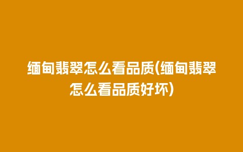 缅甸翡翠怎么看品质(缅甸翡翠怎么看品质好坏)