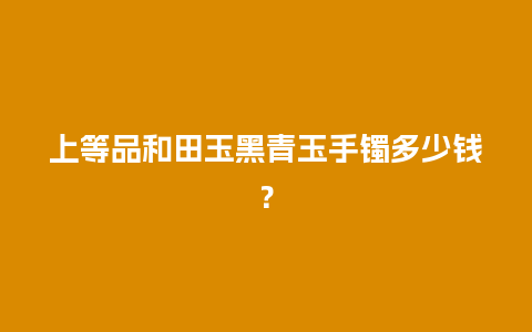 上等品和田玉黑青玉手镯多少钱？