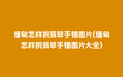 缅甸怎样挑翡翠手镯图片(缅甸怎样挑翡翠手镯图片大全)