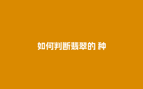 如何判断翡翠的 种