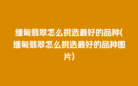 缅甸翡翠怎么挑选最好的品种(缅甸翡翠怎么挑选最好的品种图片)