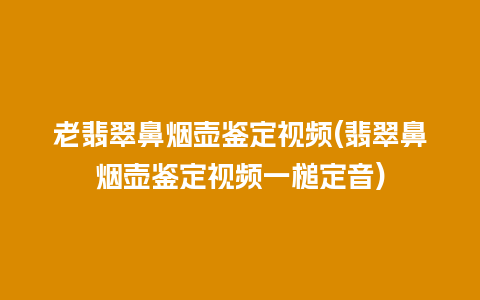 老翡翠鼻烟壶鉴定视频(翡翠鼻烟壶鉴定视频一槌定音)