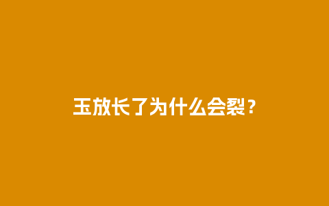 玉放长了为什么会裂？