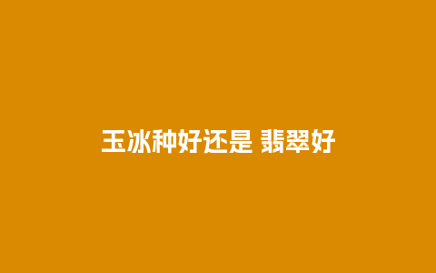 玉冰种好还是 翡翠好