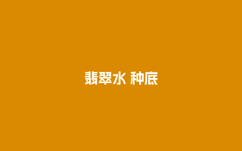 翡翠水 种底