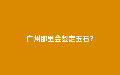 广州那里会鉴定玉石？