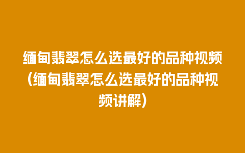 缅甸翡翠怎么选最好的品种视频(缅甸翡翠怎么选最好的品种视频讲解)