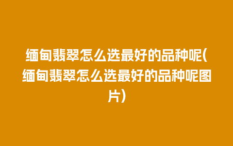 缅甸翡翠怎么选最好的品种呢(缅甸翡翠怎么选最好的品种呢图片)