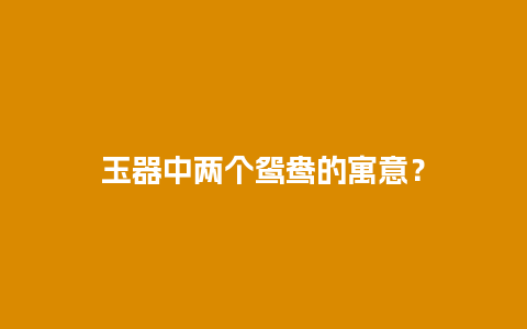 玉器中两个鸳鸯的寓意？