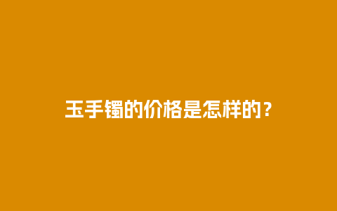 玉手镯的价格是怎样的？