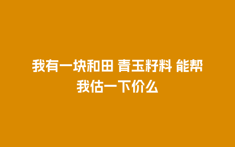 我有一块和田 青玉籽料 能帮我估一下价么