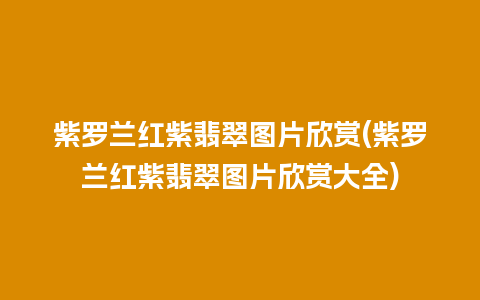 紫罗兰红紫翡翠图片欣赏(紫罗兰红紫翡翠图片欣赏大全)