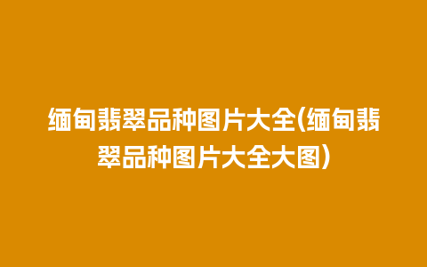 缅甸翡翠品种图片大全(缅甸翡翠品种图片大全大图)