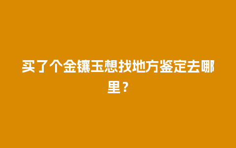 买了个金镶玉想找地方鉴定去哪里？