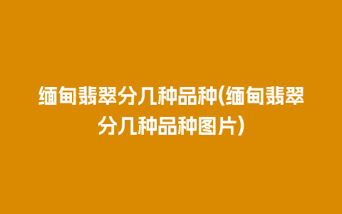 缅甸翡翠分几种品种(缅甸翡翠分几种品种图片)