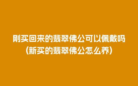 刚买回来的翡翠佛公可以佩戴吗(新买的翡翠佛公怎么养)