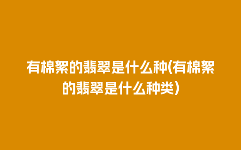 有棉絮的翡翠是什么种(有棉絮的翡翠是什么种类)